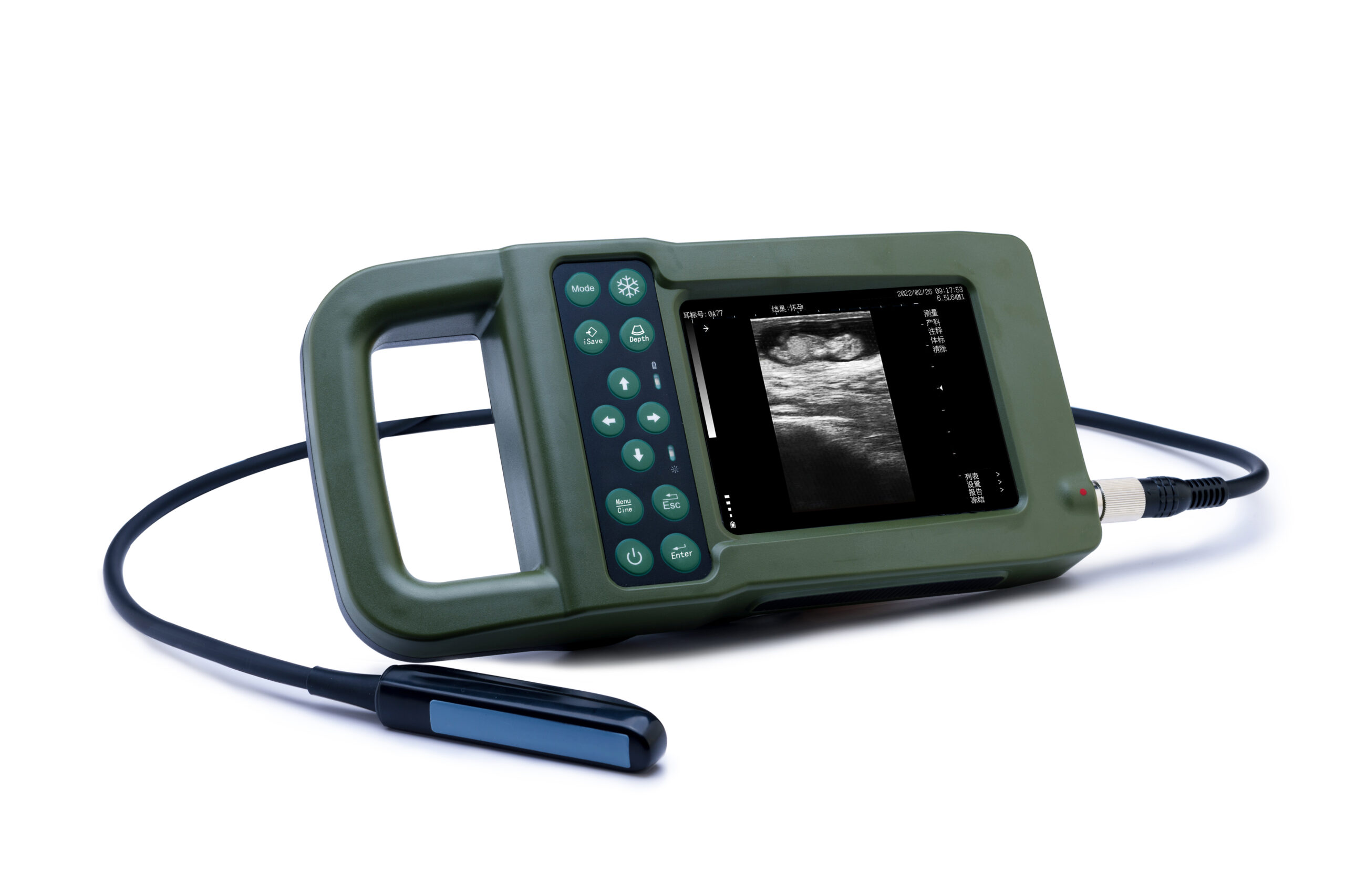 B/W Ultrasound  Palm KX5600F with Rectal Probe