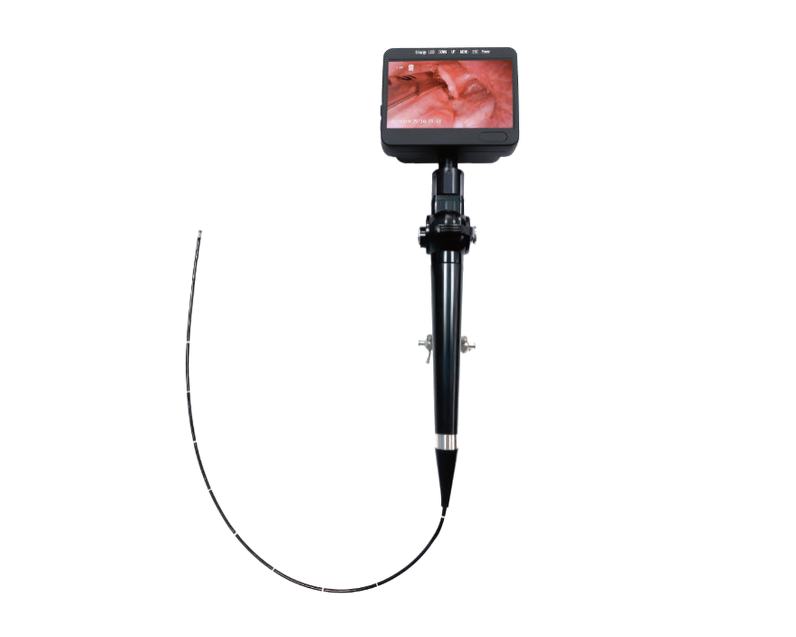 OJH Portable Veterinary Endoscopes System